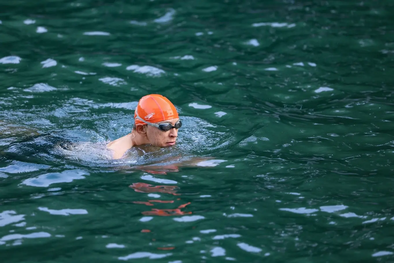 复习, 张朝阳随即