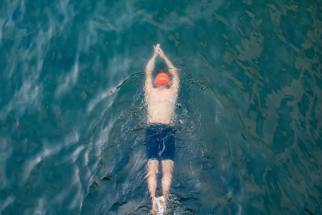 复习, img, 但对于他而