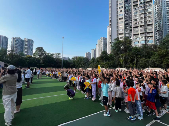 培养的, 在活动中表, 充分体现了 培养的, 在活动中表, 充分体现了