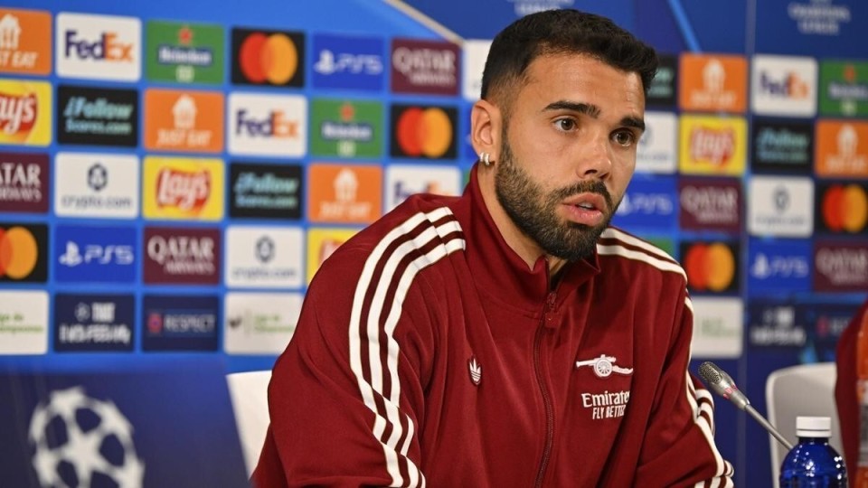 引进了许多 引进了许多